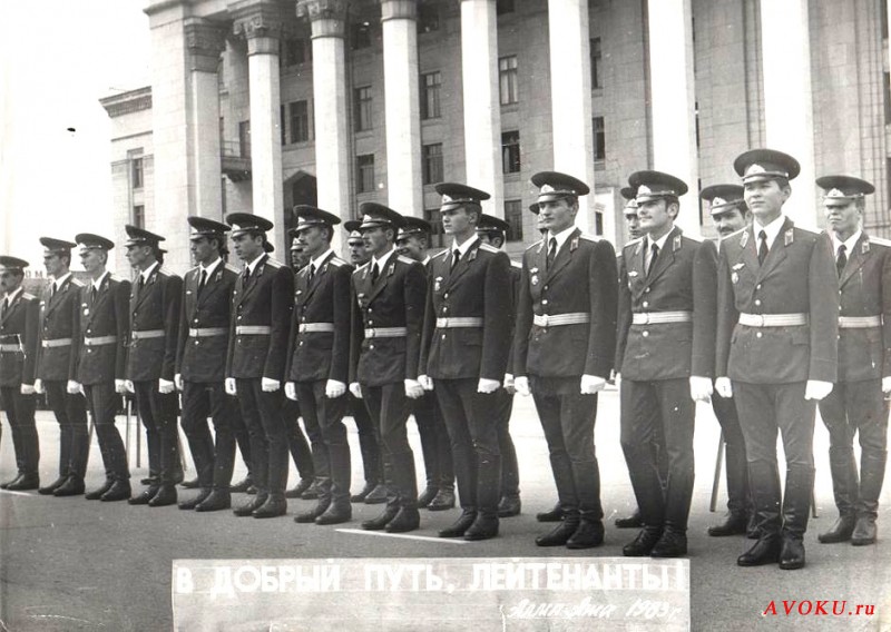 6-rota-52