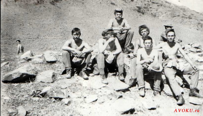 6-rota-31