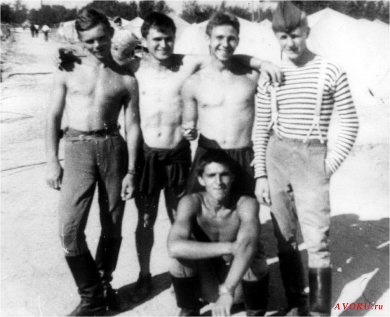 6-rota-37