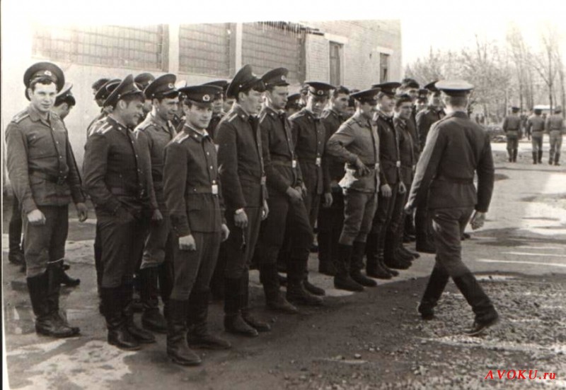 6-rota-49